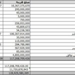 وکیل مالیاتی خبره